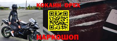 apvp Можга