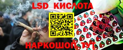 apvp Можга