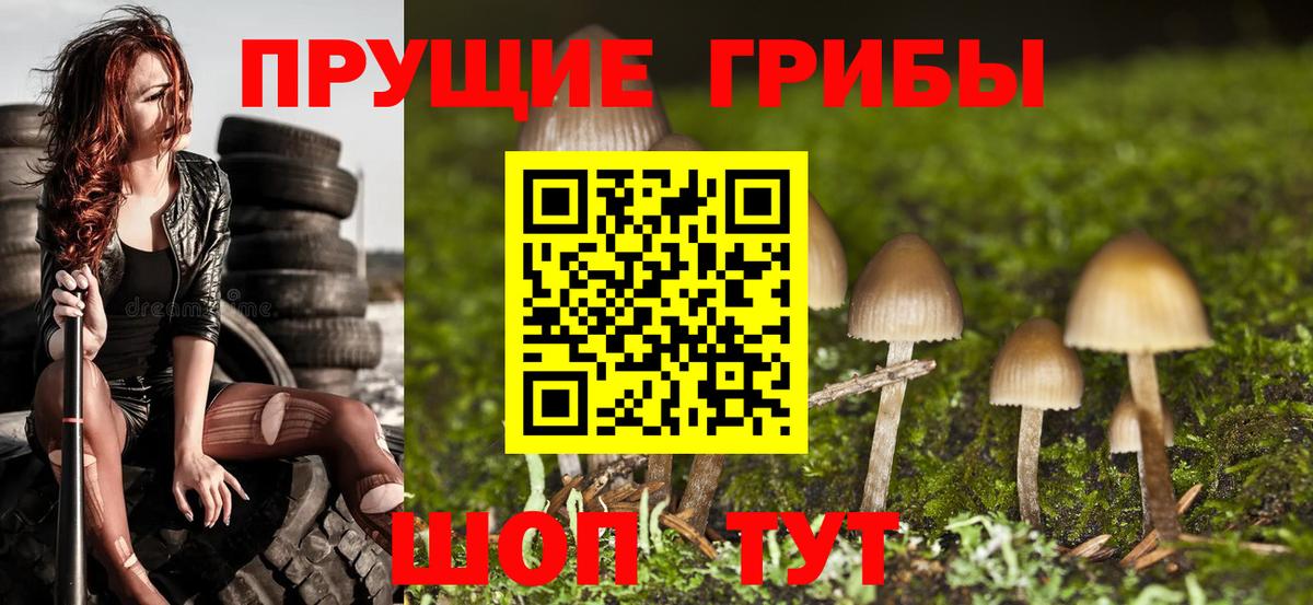 Псилоцибиновые грибы мицелий  Псилоцибиновые грибы GOLDEN TEACHER  Домодедово  Вход с VPN 